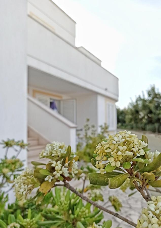 Residence Bellevue Santa Maria di Leuca Luaran gambar
